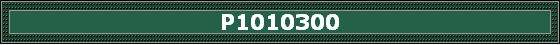 P1010300